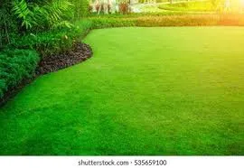 Reliable lawn mowing service in Dayton, OH - A.M.R. Home Improvement & Landscaping