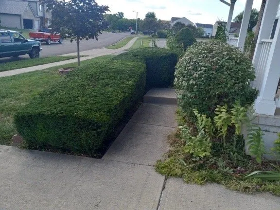 Expert yard maintenance in Dayton, OH by A.M.R. Home Improvement & Landscaping