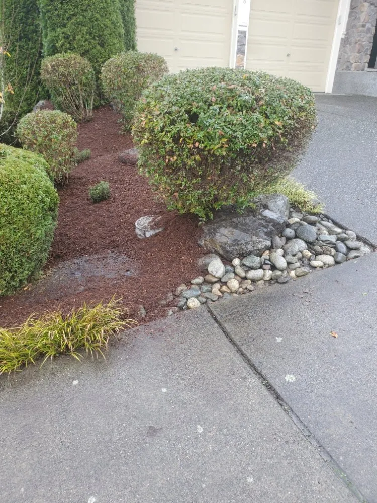 Trusted landscape design in Everett, WA - América Landscaping