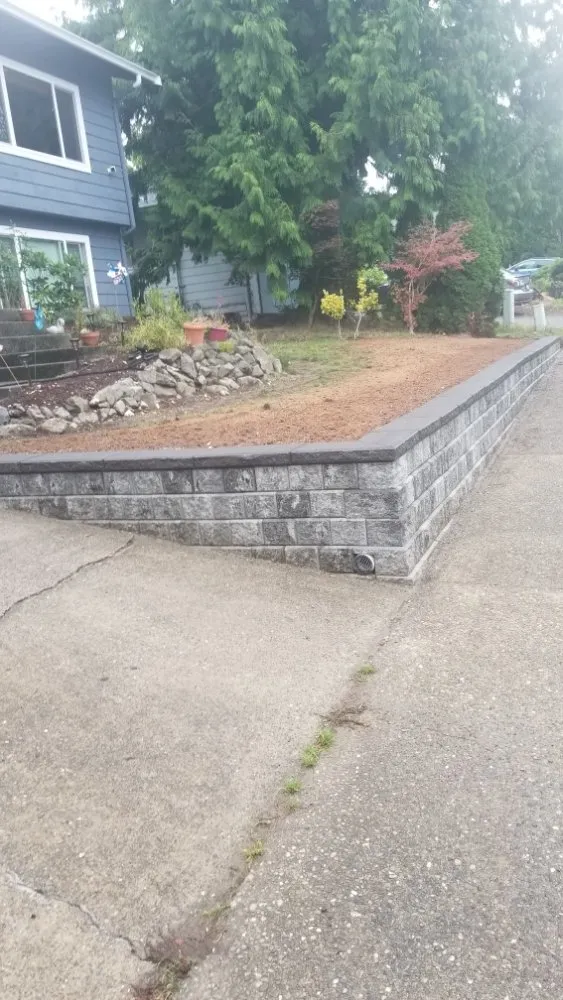 Affordable lawn care service in Everett, WA by América Landscaping