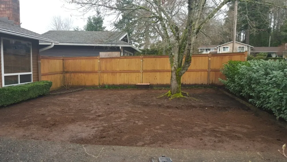 Reliable landscape design in Everett, WA by América Landscaping