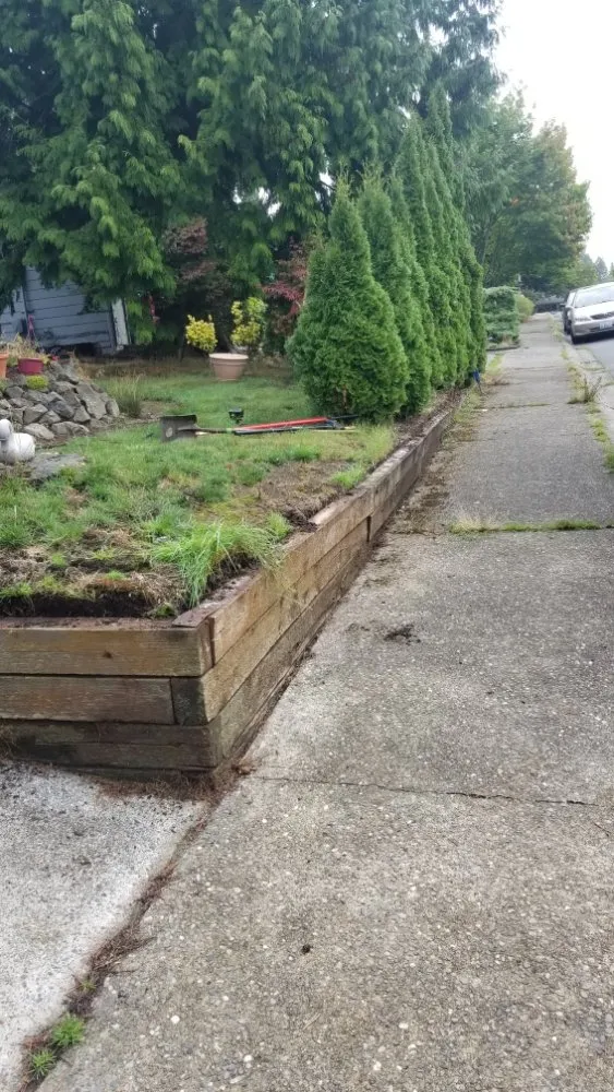 Reliable lawn mowing service experts serving Everett, WA - América Landscaping