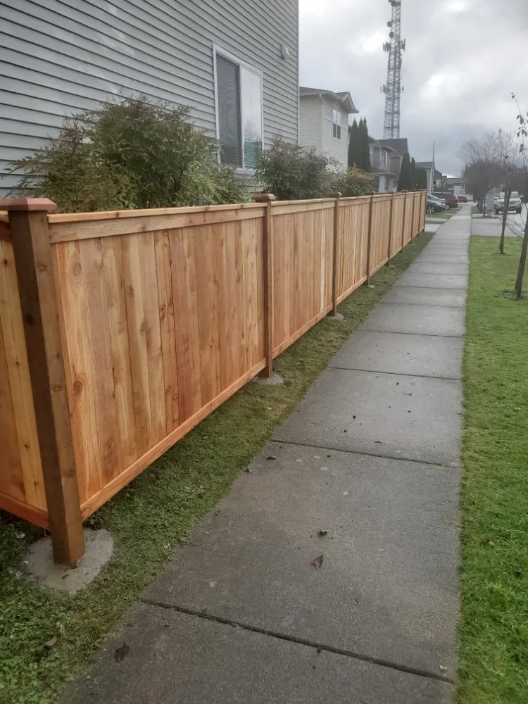 Professional landscape design in Everett, WA by América Landscaping