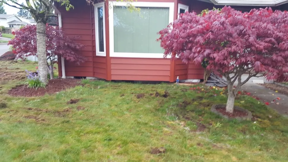 Professional landscaping services for outdoor upgrades in Everett, WA by América Landscaping