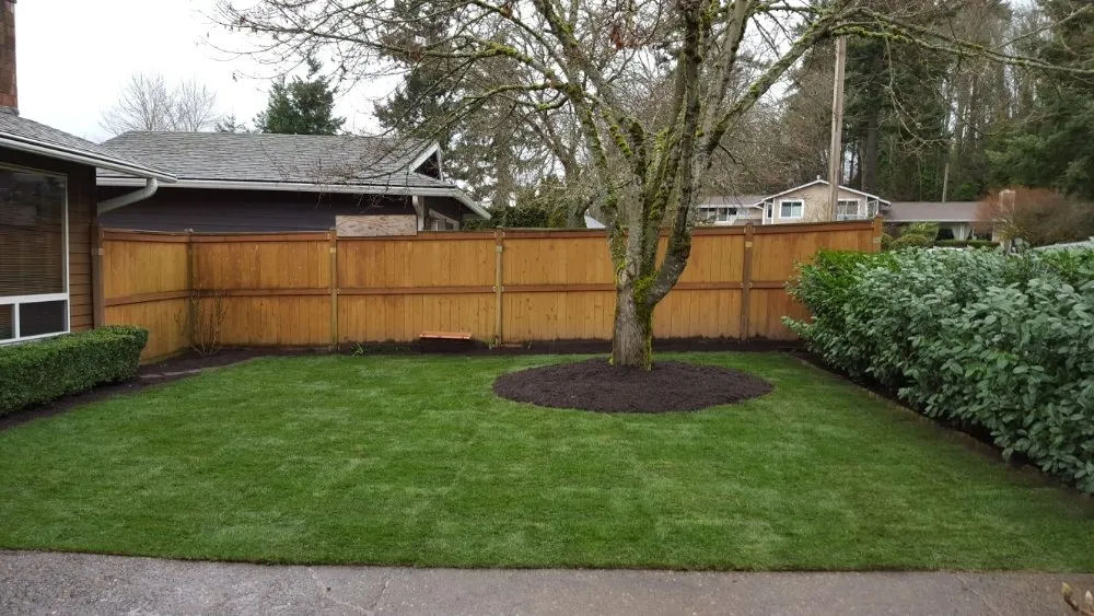 Reliable garden landscaping for residential properties across Everett, WA - América Landscaping