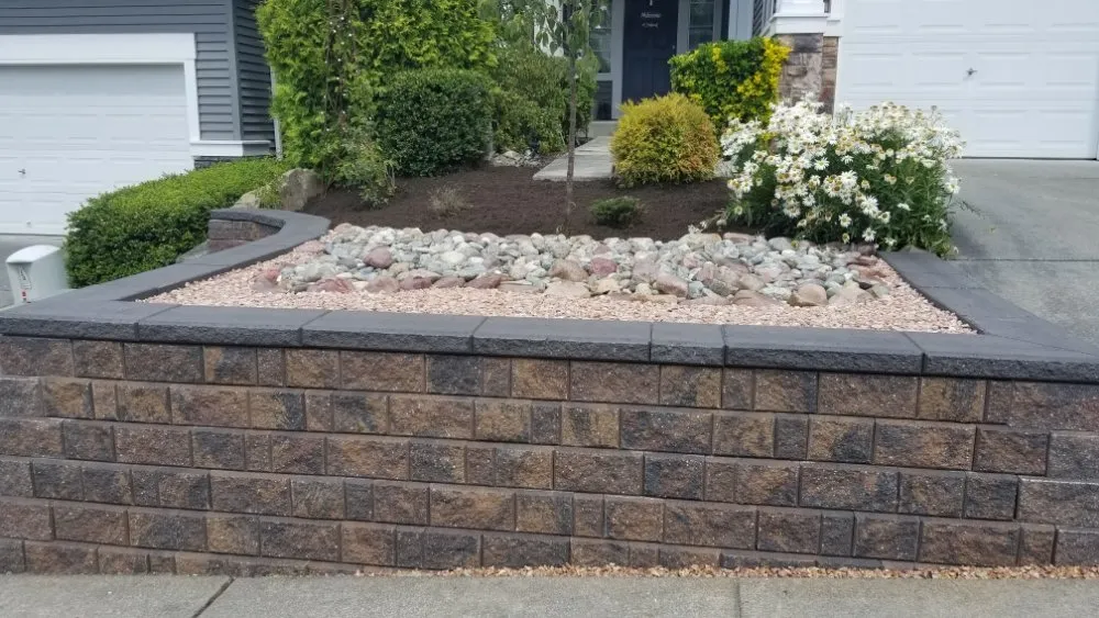 Expert lawn care service in Everett, WA - América Landscaping