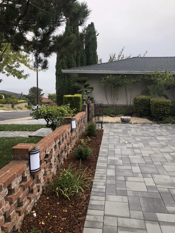 Top-rated yard maintenance for outdoor upgrades across Campbell, CA - AMS Construction