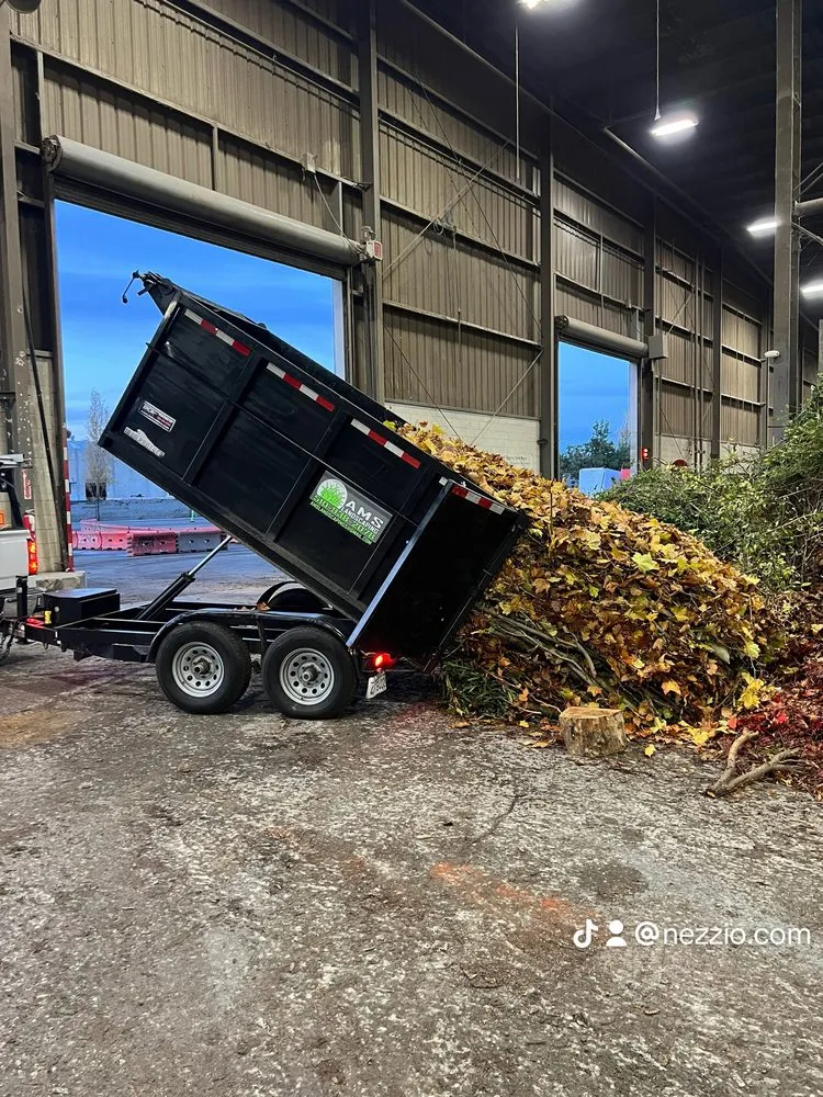 Top-rated lawn care service for homes across Newark, CA - AMS Landscaping