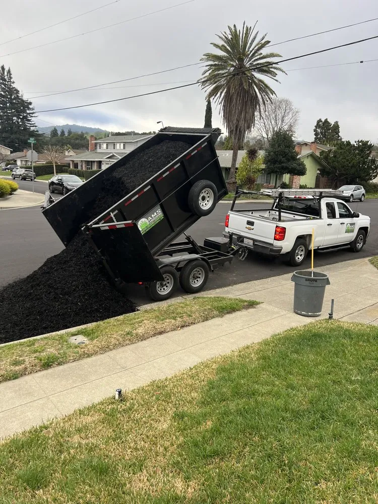 Custom lawn mowing service for outdoor upgrades across Newark, CA - AMS Landscaping