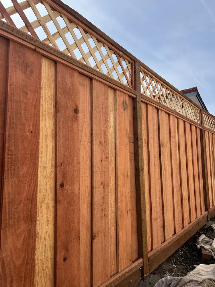 Top-rated yard cleanup service in Newark, CA by AMS Landscaping