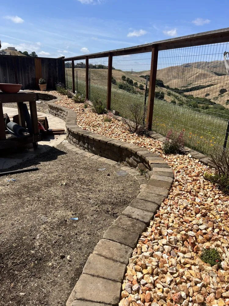 Affordable residential landscaping experts serving Newark, CA - AMS Landscaping