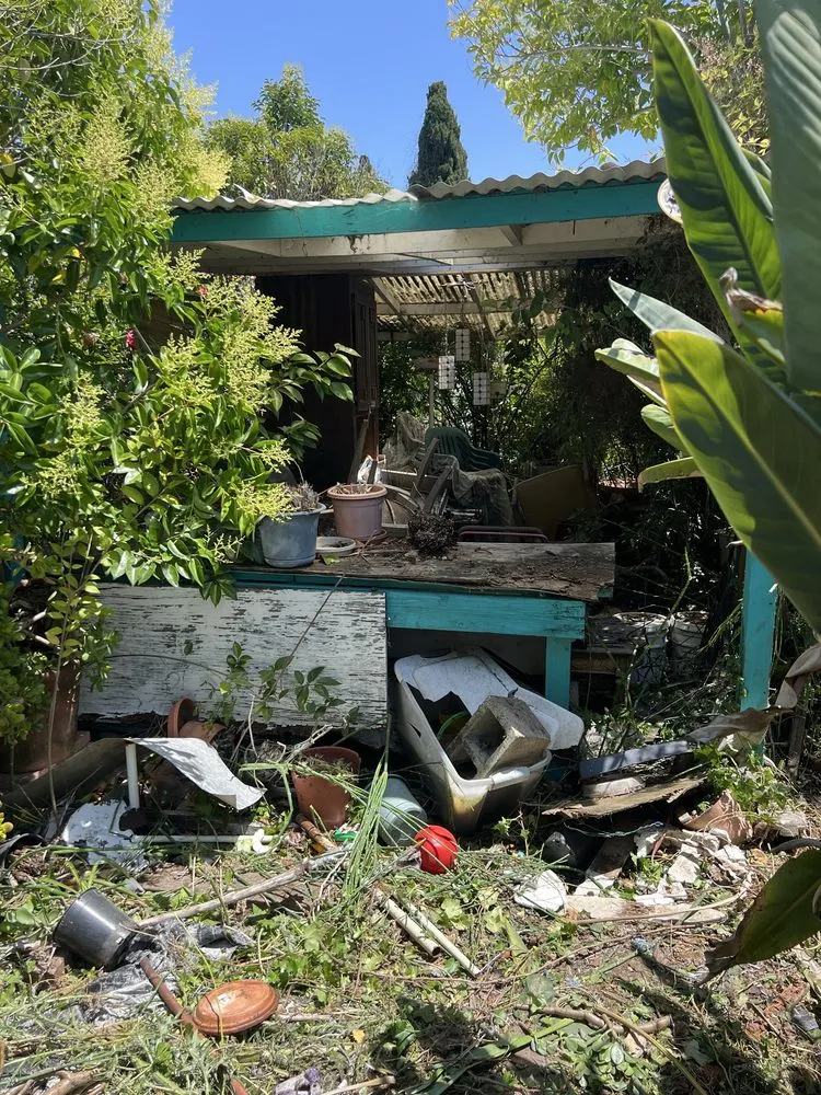 Custom outdoor landscaping for beautiful yards across Newark, CA - AMS Landscaping