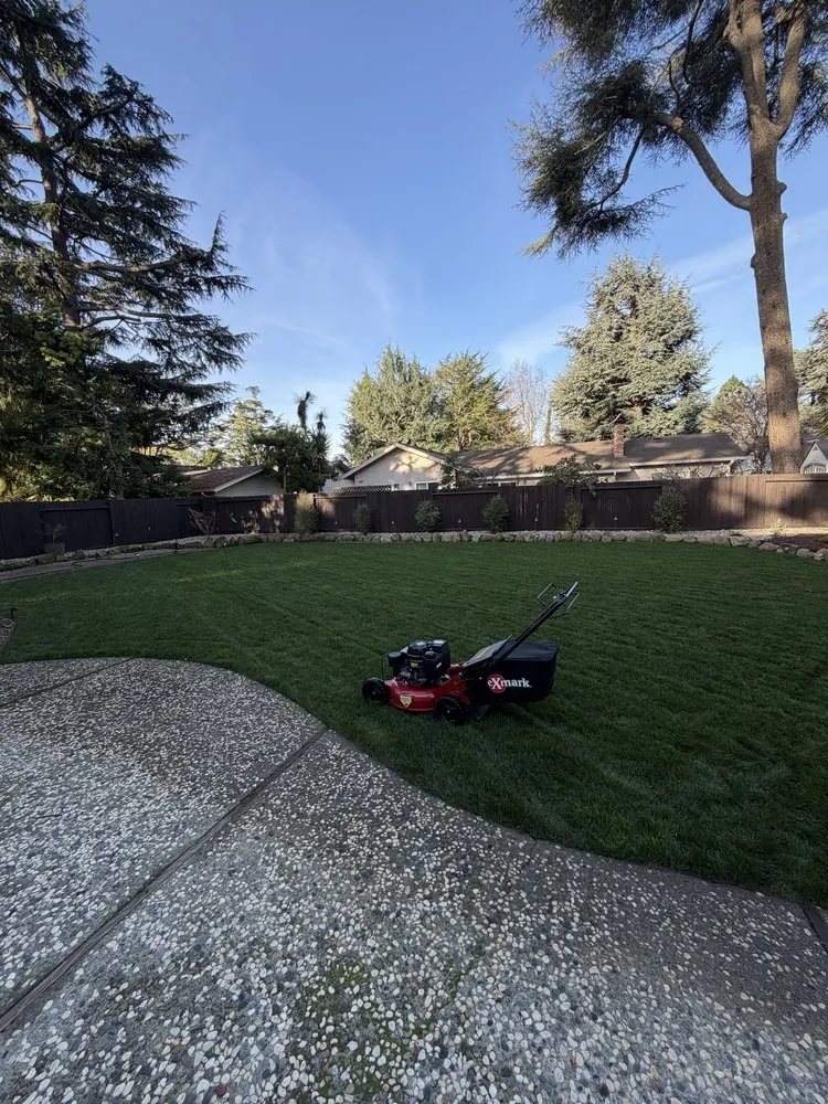 Affordable lawn mowing service in Newark, CA - AMS Landscaping