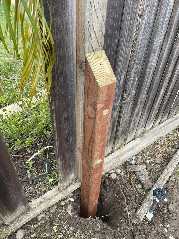 Affordable yard maintenance for beautiful yards across Newark, CA - AMS Landscaping