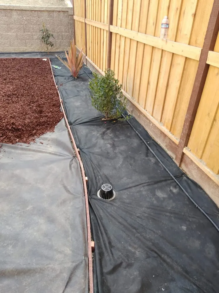 Affordable residential landscaping experts serving Newark, CA - AMS Landscaping