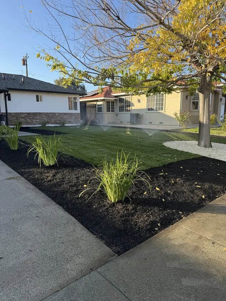 Trusted lawn mowing service in Newark, CA - AMS Landscaping