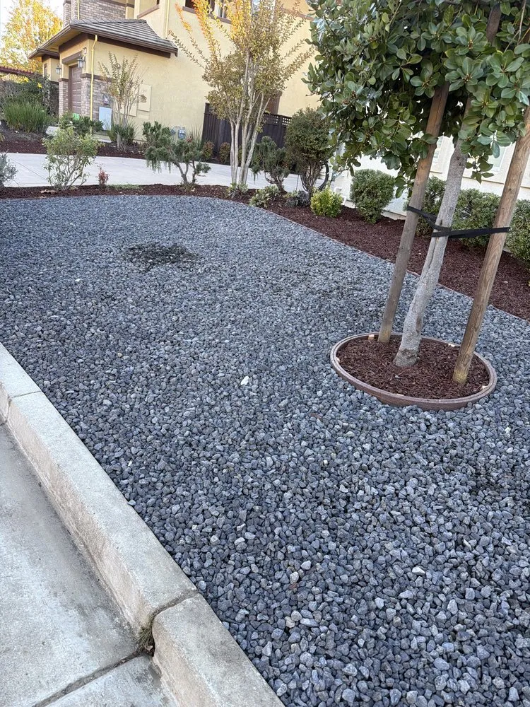 Custom garden landscaping in Newark, CA by AMS Landscaping