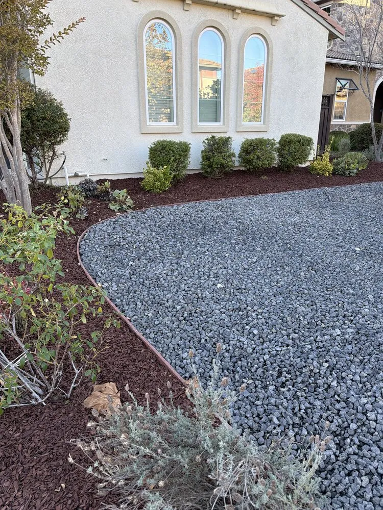 Top-rated outdoor landscaping for beautiful yards across Newark, CA - AMS Landscaping
