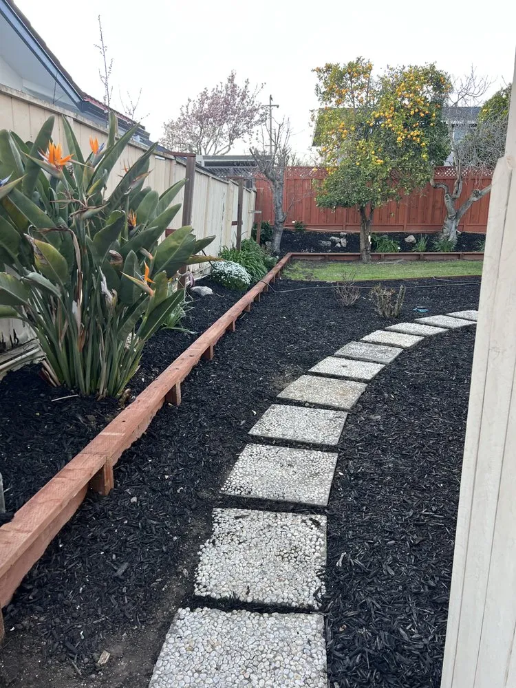 Affordable yard cleanup service experts serving Newark, CA - AMS Landscaping
