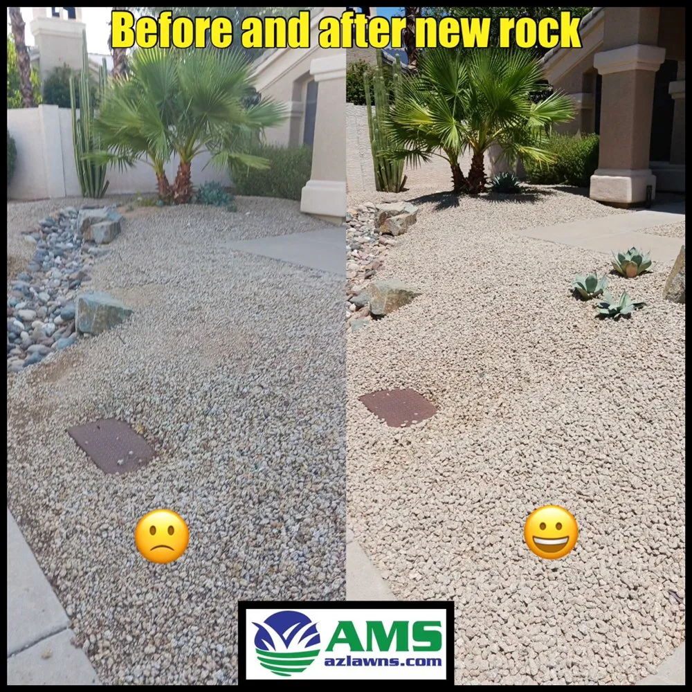 Custom landscape installation for residential properties in Phoenix, AZ by AMS Landscaping