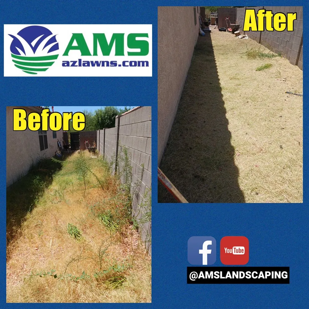 Expert outdoor landscaping for outdoor upgrades across Phoenix, AZ - AMS Landscaping