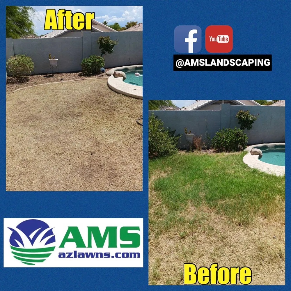 Trusted yard maintenance experts serving Phoenix, AZ - AMS Landscaping