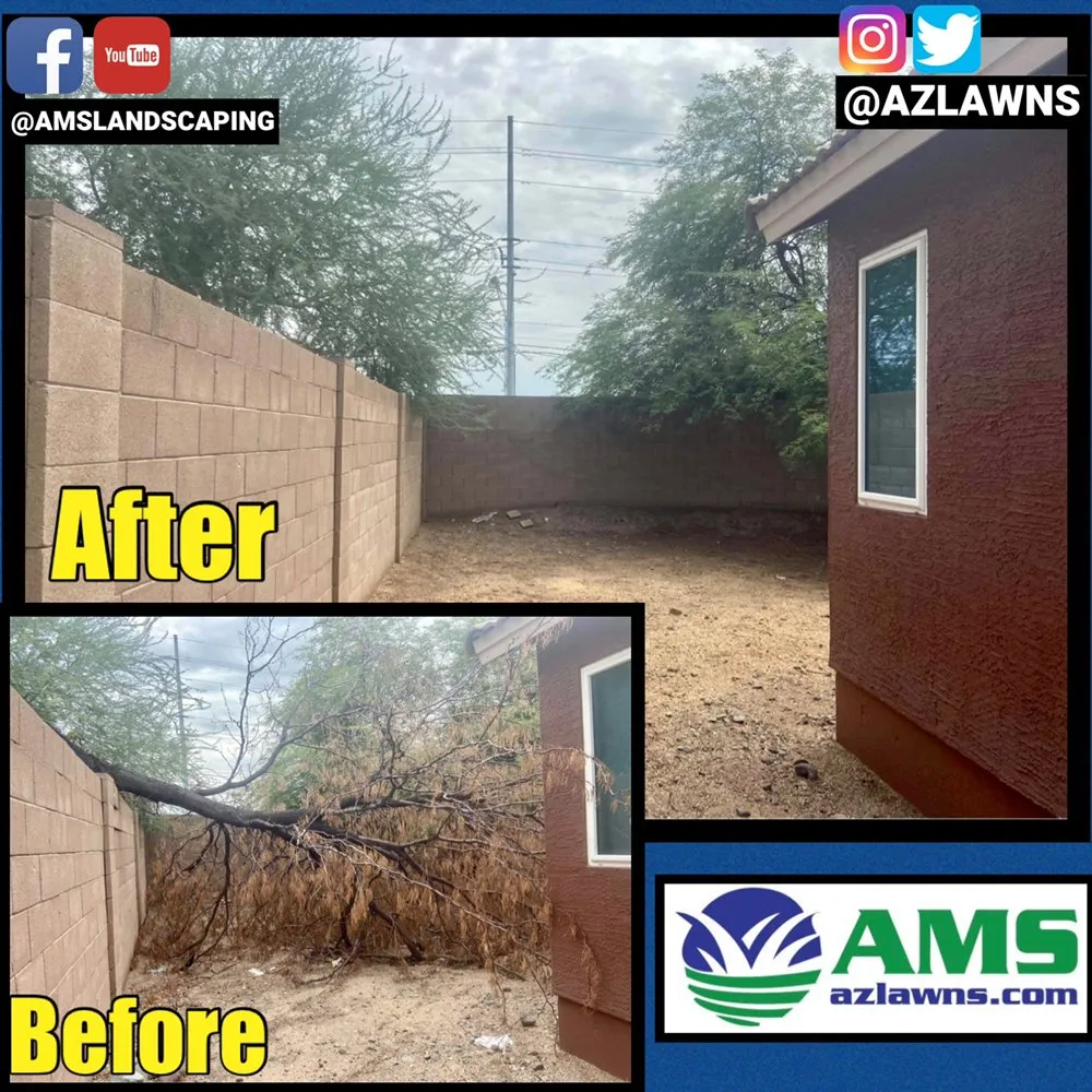 Custom garden landscaping experts serving Phoenix, AZ - AMS Landscaping