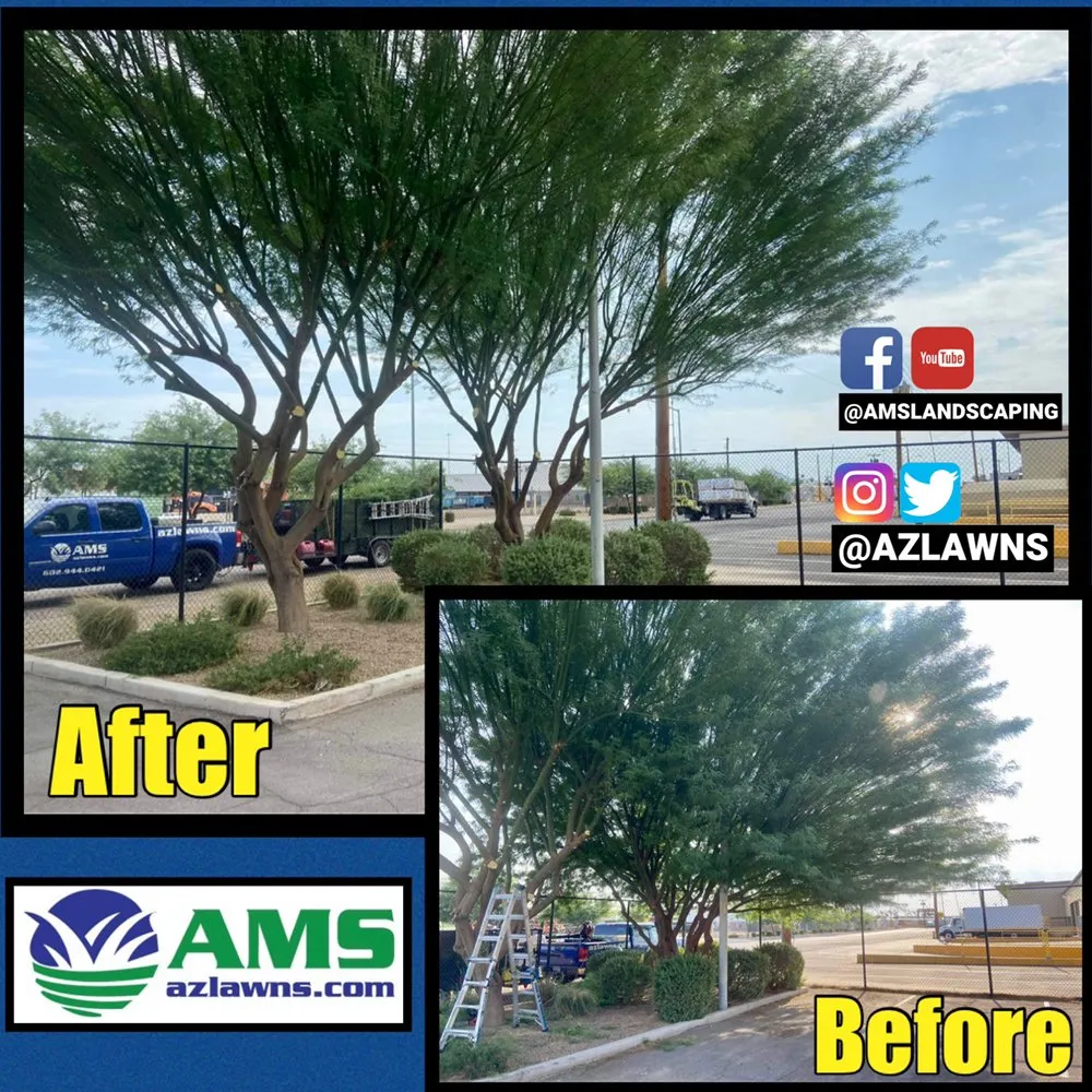 Trusted garden landscaping experts serving Phoenix, AZ - AMS Landscaping