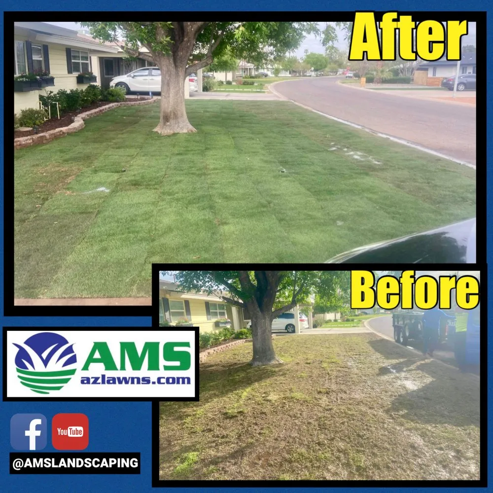 Custom residential landscaping in Phoenix, AZ by AMS Landscaping