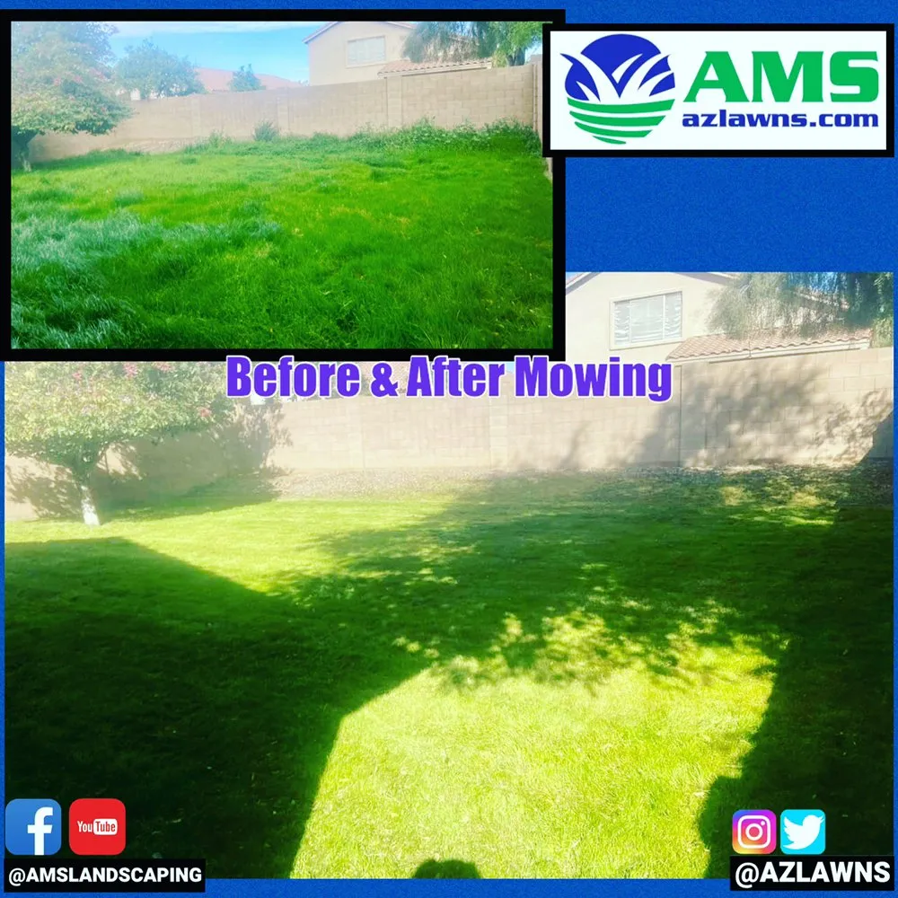 Reliable lawn care service for beautiful yards in Phoenix, AZ by AMS Landscaping