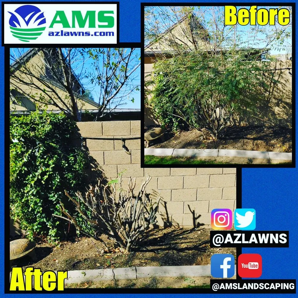 Trusted garden landscaping for homes in Phoenix, AZ by AMS Landscaping