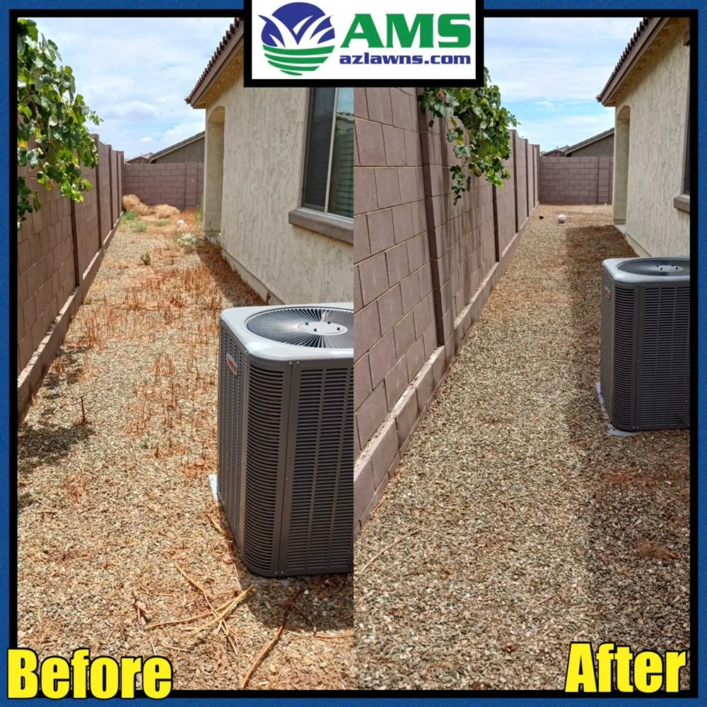 Affordable yard cleanup service experts serving Phoenix, AZ - AMS Landscaping