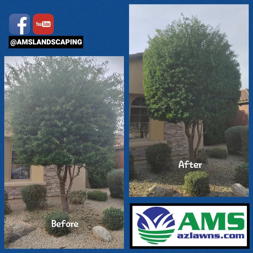 Custom landscaping services in Phoenix, AZ by AMS Landscaping