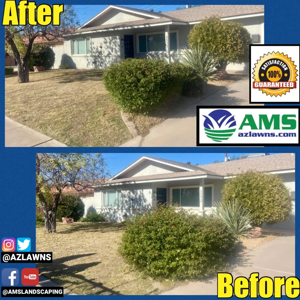 Professional lawn care service in Phoenix, AZ by AMS Landscaping