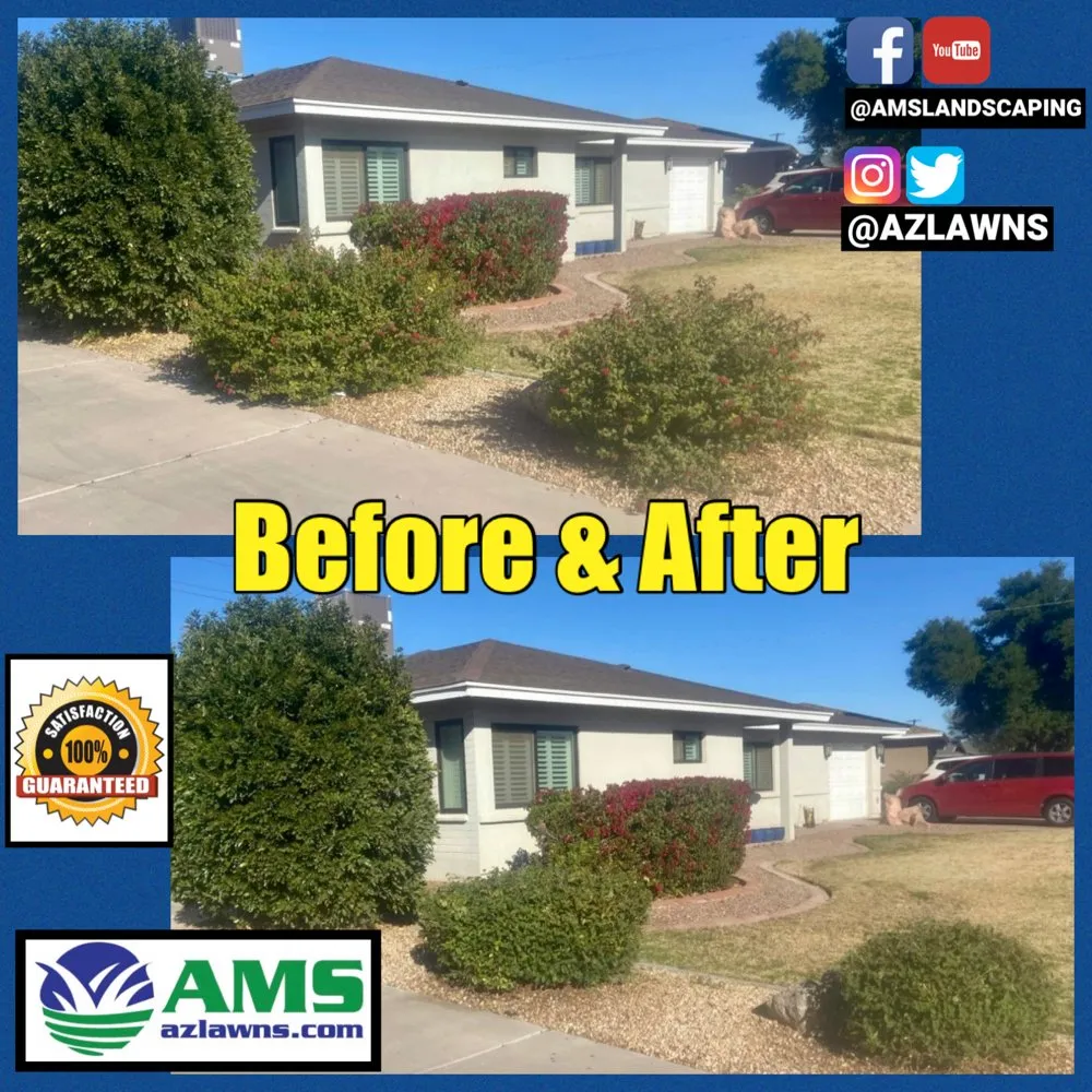 Professional yard cleanup service in Phoenix, AZ by AMS Landscaping