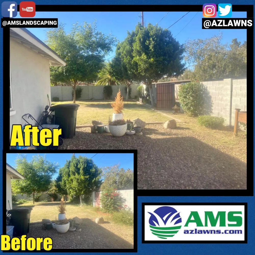Trusted outdoor landscaping in Phoenix, AZ by AMS Landscaping