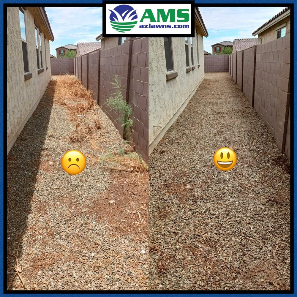 Trusted garden landscaping for homes across Phoenix, AZ - AMS Landscaping