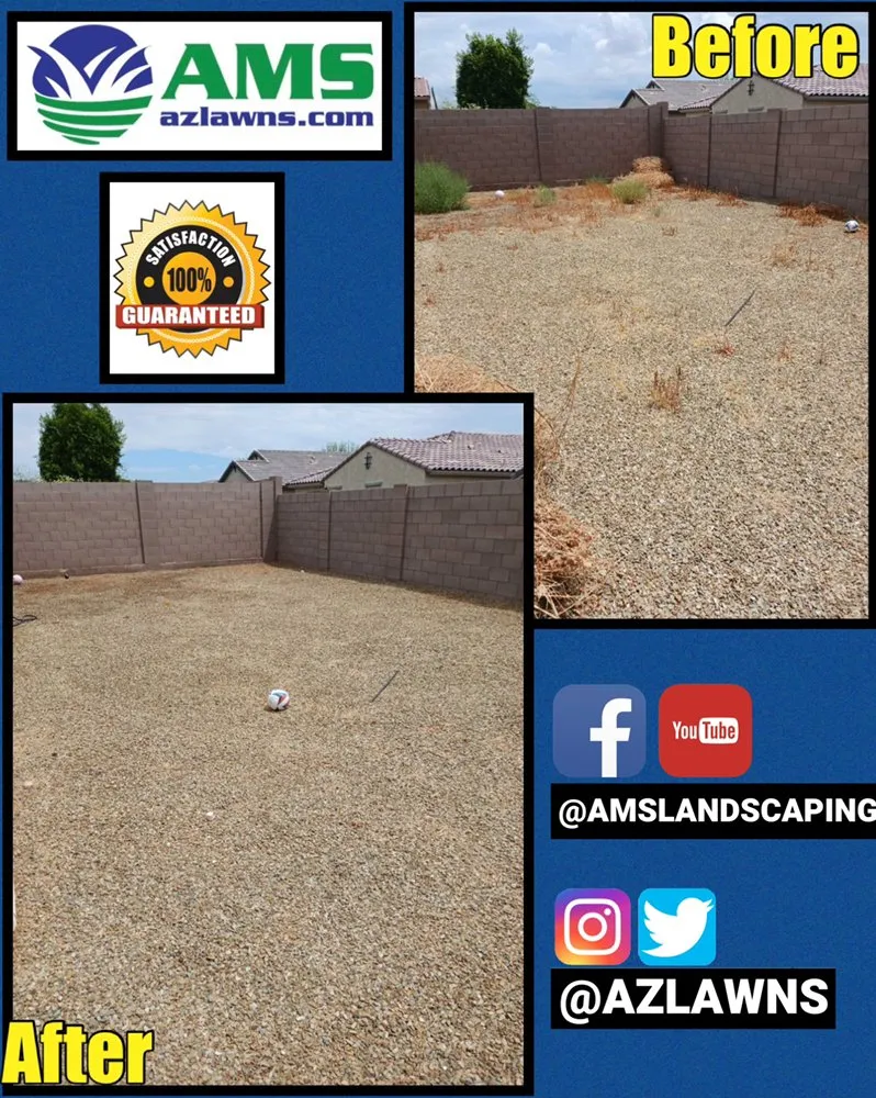 Trusted yard maintenance in Phoenix, AZ by AMS Landscaping