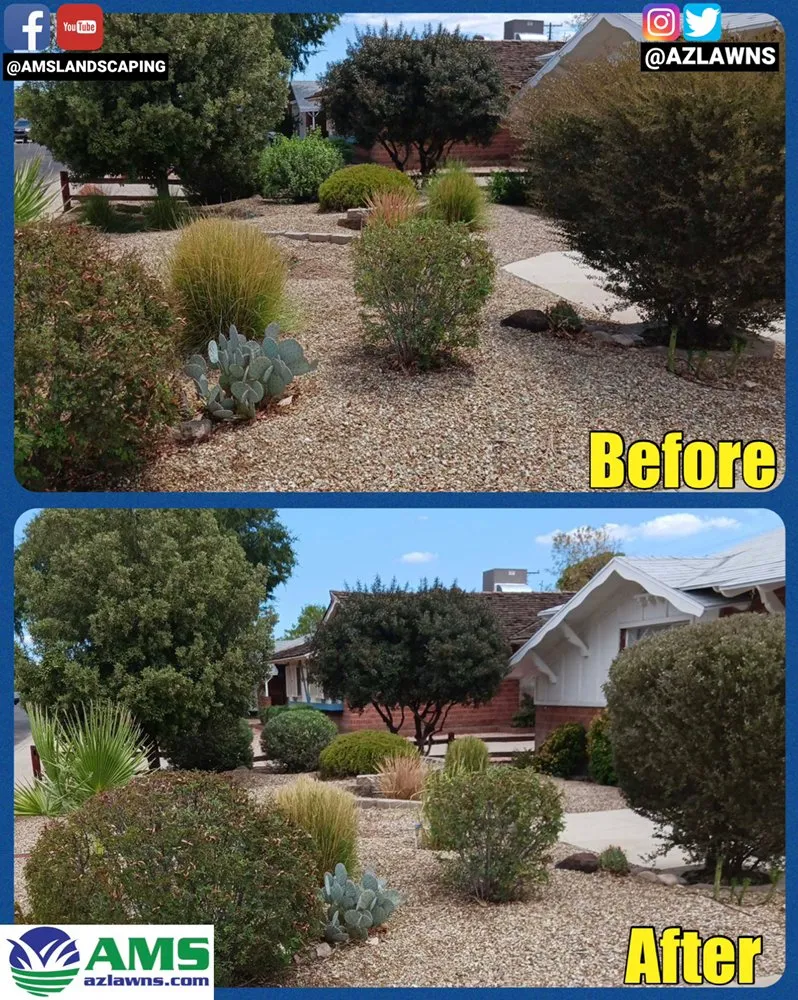 Expert lawn care service for homes across Phoenix, AZ - AMS Landscaping