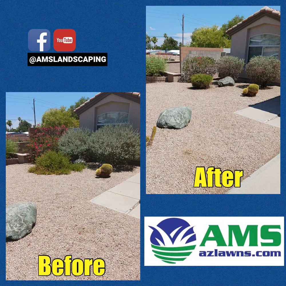 Trusted lawn mowing service with custom design across Phoenix, AZ - AMS Landscaping