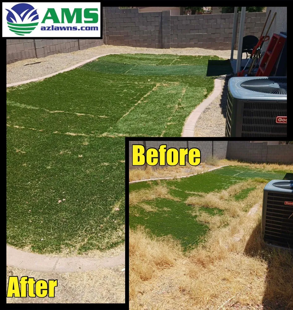 Professional lawn mowing service for homes in Phoenix, AZ by AMS Landscaping