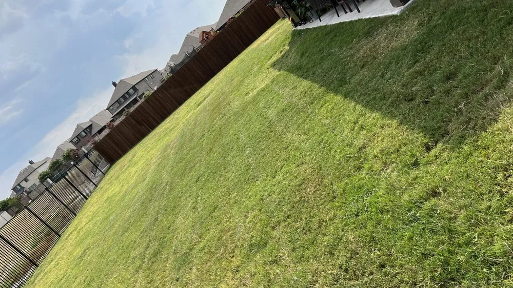 Affordable yard maintenance near you in Waxahachie, TX by AMS Landscaping