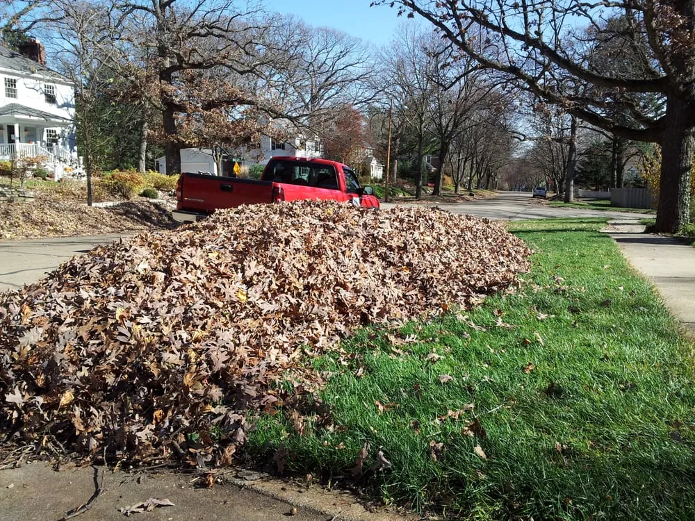 Affordable landscape installation in Stoughton, WI - AMS Lawn & Landscapes