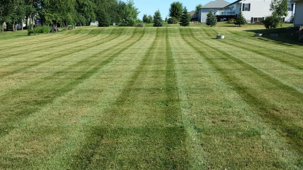 Top-rated yard cleanup service experts serving Stoughton, WI - AMS Lawn & Landscapes