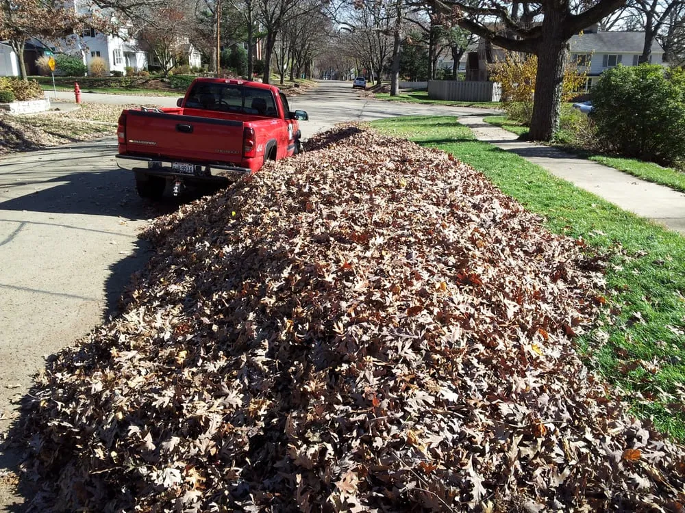 Affordable garden landscaping in Stoughton, WI by AMS Lawn & Landscapes