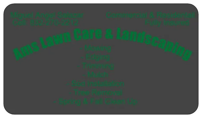 Top-rated lawn mowing service in Tomball, TX by AMS Lawn Care & Landscaping