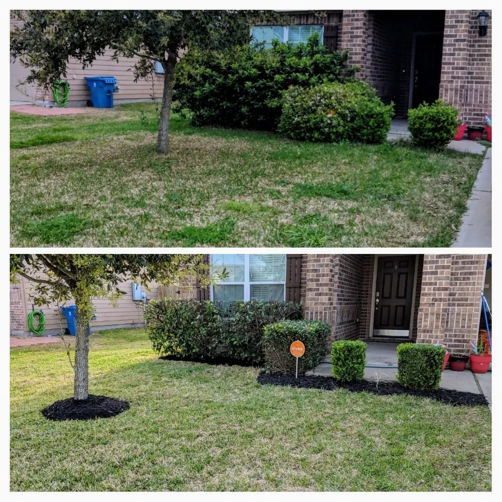 Professional lawn mowing service in Tomball, TX by AMS Lawn Care & Landscaping