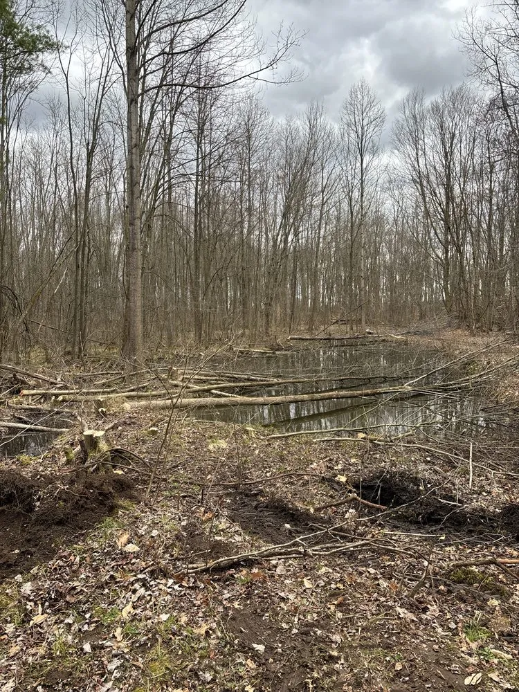 Top-rated residential landscaping for homes in Waterloo, NY by AMS Property Professional Services