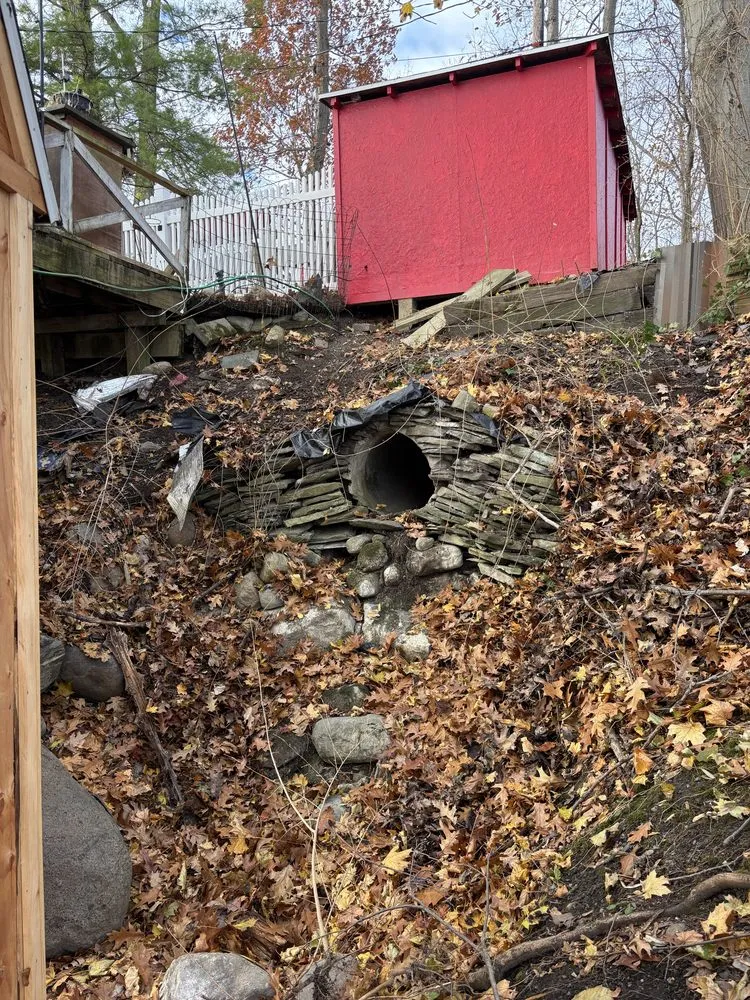 Expert yard cleanup service in Waterloo, NY by AMS Property Professional Services