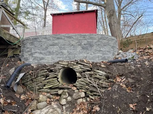 AMS Property Professional Services